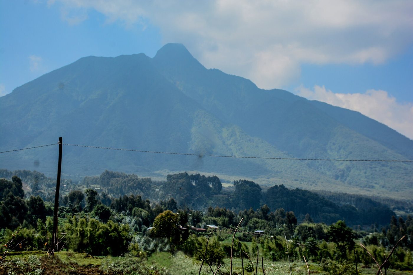 Dian Fossey Museum & Culture Village
